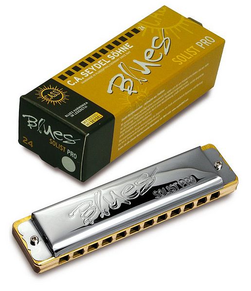 Файл:BLUES Solist Pro12sm.jpg